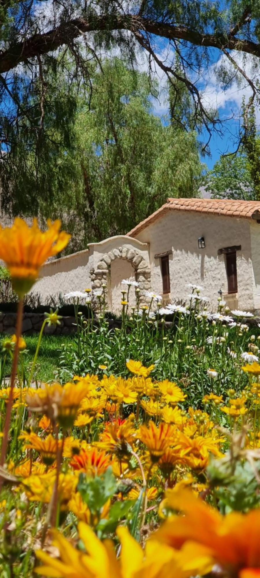 El Molino De Cachi Villa Kültér fotó