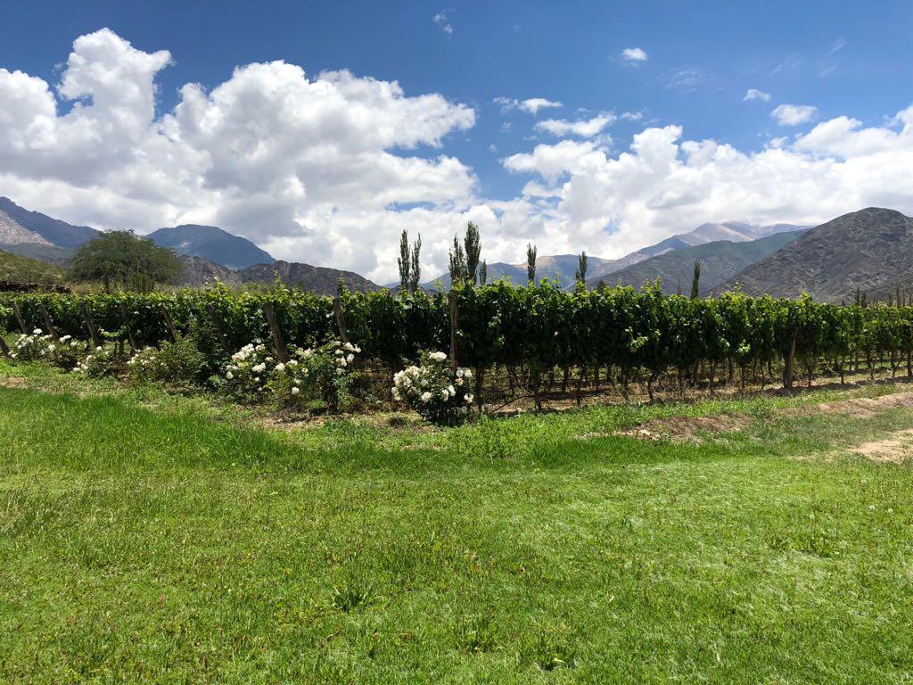 El Molino De Cachi Villa Kültér fotó